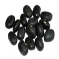 Black Bean